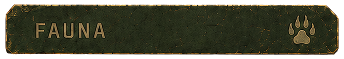 Fauna