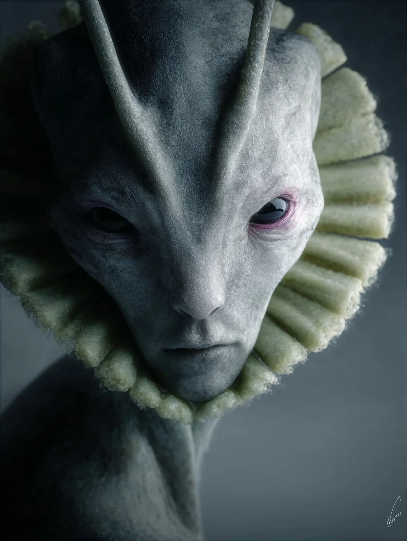 Chloris-IV species portrait